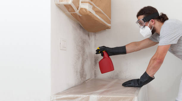 Professional Bathroom Mold Removal technician working in Bloomfield, NY